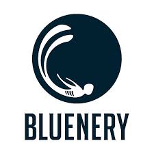 Blue Nery Academy